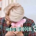 [EXO] 세호니 룸메 <b>생사</b>가 궁금