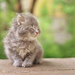 바람 부는 날, <b>집</b> <b>밖</b>에 나가보았다!