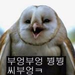 [공판] 고1 국어 <b>미술</b> 끝내는데 얼마나걸릴까