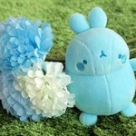 식중독걸린 몰랑이
