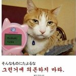 전에 학교에서 발표하는데 샘이 귀엽<b>댓</b><b>음</b>....