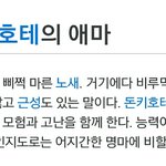 로시난테가 화나면 뭐게!