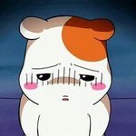 [드루와] <b>철분제</b> 완전 맛없어ㅠㅜ 우ㅔ엑