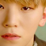 [세븐틴] ㅇ아아 예뻐죽는다..