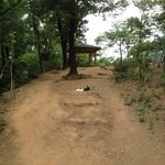 [<b>토끼</b>] <b>토끼</b> 가족을 소개합니다 -