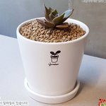 <b>연봉</b> 얼마임?