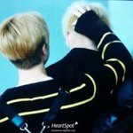 [드루와] 벌을 <b>맨손</b>으로 잡는 남돌 ㅋㅋㅋㅋㅋㅋ