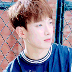 [세븐틴] 하이라이트메들리랑<b>넥</b>윜에서공개된부분