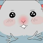 [방탄소년단] 뽀몬