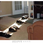 [백현] 백현이 보고싶다