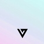 [세븐틴] 우리공식색