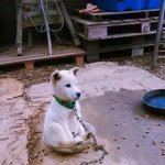 [NCT] 아나 해찬이