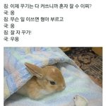 [방탄소년단] 이거 전정국이랑 <b>박지민</b>이래ㅋㅋㅋㅋㅋ
