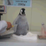 [댓글부탁해] 우린 거북이 다른<b>배들</b> 통통