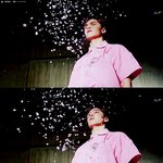 [세븐틴] 와.. 예쁘다랑도 이어지는거같은데