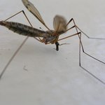 오랜만에 <b>한컷</b>,,,
