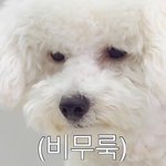 [EXO] 가위앱 새벽<b>방송</b> 개보고싶다ᆢ