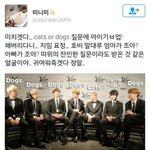 [방탄소년단] 강아지가 좋아 고양이가 좋아라는 <b>질문</b>에