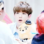 [세븐틴] 최근에 입덕한 당근임