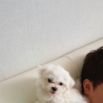 강아지 <b>붕가</b>훈련