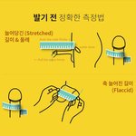[드루와] 국내<b>생산</b> 바나나 평균 크기