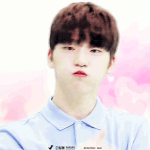 [세븐틴] 나는 찬이가