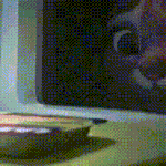 내 가수가 <b>사석</b>에서 뭘 하든 신경 안쓰는 내가 이상한거야?