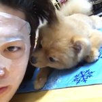 [BAP] 주농이보다