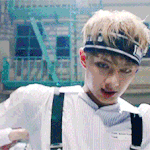 [세븐틴] 캐럿들아