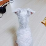 [댓글부탁해] 얘들아 나 진짜 <b>폰</b> 부실까봐..;