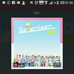 [세븐틴] ㅅㄷ) 아 진짜 미안해