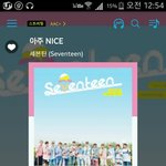 [세븐틴] 스밍권없는캐럿