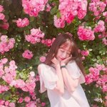 [댓글부탁해] 나 중1인ㄷㅔ!