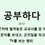 [드루와] 공부머리 실감함