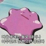 [공판] <b>하아</b> 시험 첫 날 째인데 진짜 망쳤음
