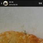 [개깊은빡침] 맥도날드 벌레딜리버리 후기