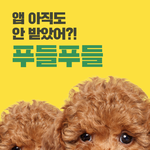 [짹짤짹짤] 오후 2시, 고양이에게 배우는 잠깨는 스트레칭