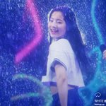 <b>폭우</b>에도 끄떡없는 진정한 프로돌