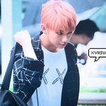 [세븐틴] 미친 <b>홍지수</b>