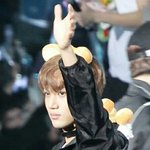 [EXO] 카이보고 왜 곰이라고하는지 이해안됐는데