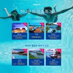 신혼여행 고민 많으시죠~?
