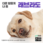 [짹짤짹짤] 요즘 매일매일 리즈 갱신 중인 아기 고양이 방울이예요~