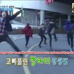 [인피니트] 애들 ㅋㅋㅋㅋㅋㅋ진짜 귀엽닼ㅋㅋ