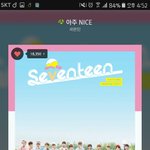 [세븐틴] 응원법 떴다