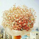 [댓글부탁해] 다들 <b>샴푸</b> 어떤거 써?