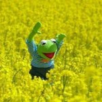 지금은 못하는데 <b>나중</b>에 해보고 싶은 <b>일</b> 적고 가봐