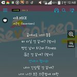 [세븐틴] 아 무계념홈마;;)