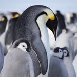 [인피니트] 근데 또 <b>재벌</b>이 되고싶다고