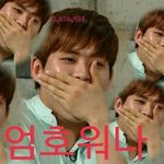 [인피니트] 호모나...<b>헤이</b>헬로라뇨.....