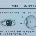 [공판] 얘들을 납득시키려 하지않고 협박만 하는 과학쌤